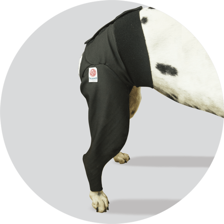 MPC Medical Protection Cover Bakben